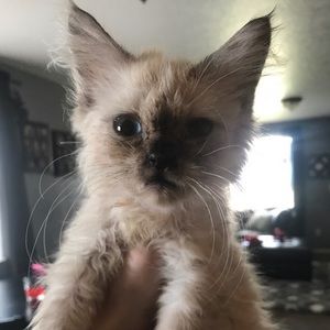 Meet your Posher, Jody